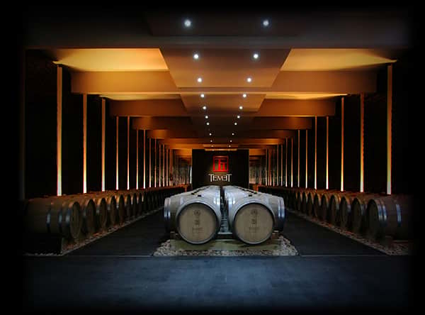 Professional photograph of barrique casks in Temet winery basement